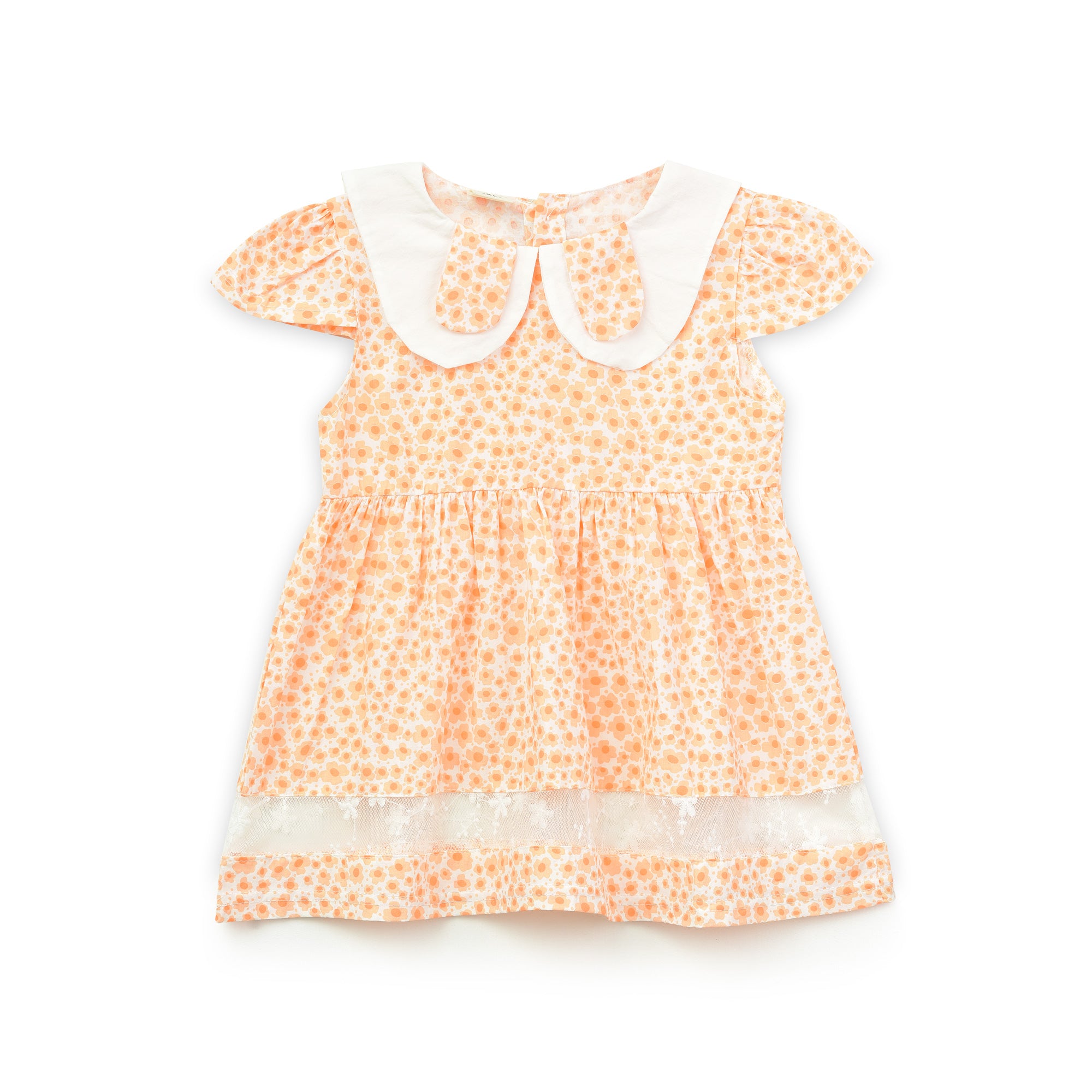 Toddler Girl Fancy  Dress