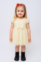 Toddler Girl Fancy  Dress