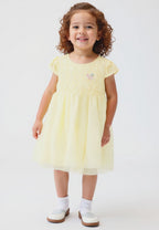 Toddler Girl Fancy  Dress